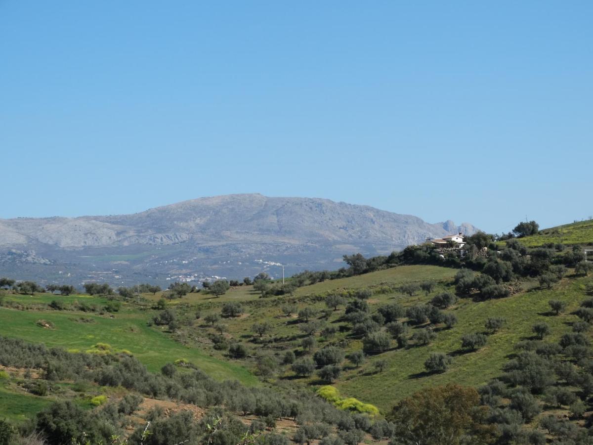 B&B Cortijo Loma Leon Cutar 外观 照片