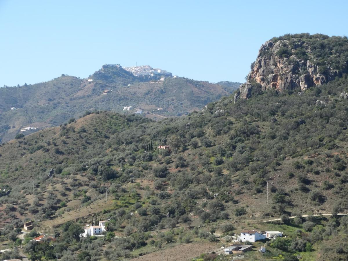 B&B Cortijo Loma Leon Cutar 外观 照片