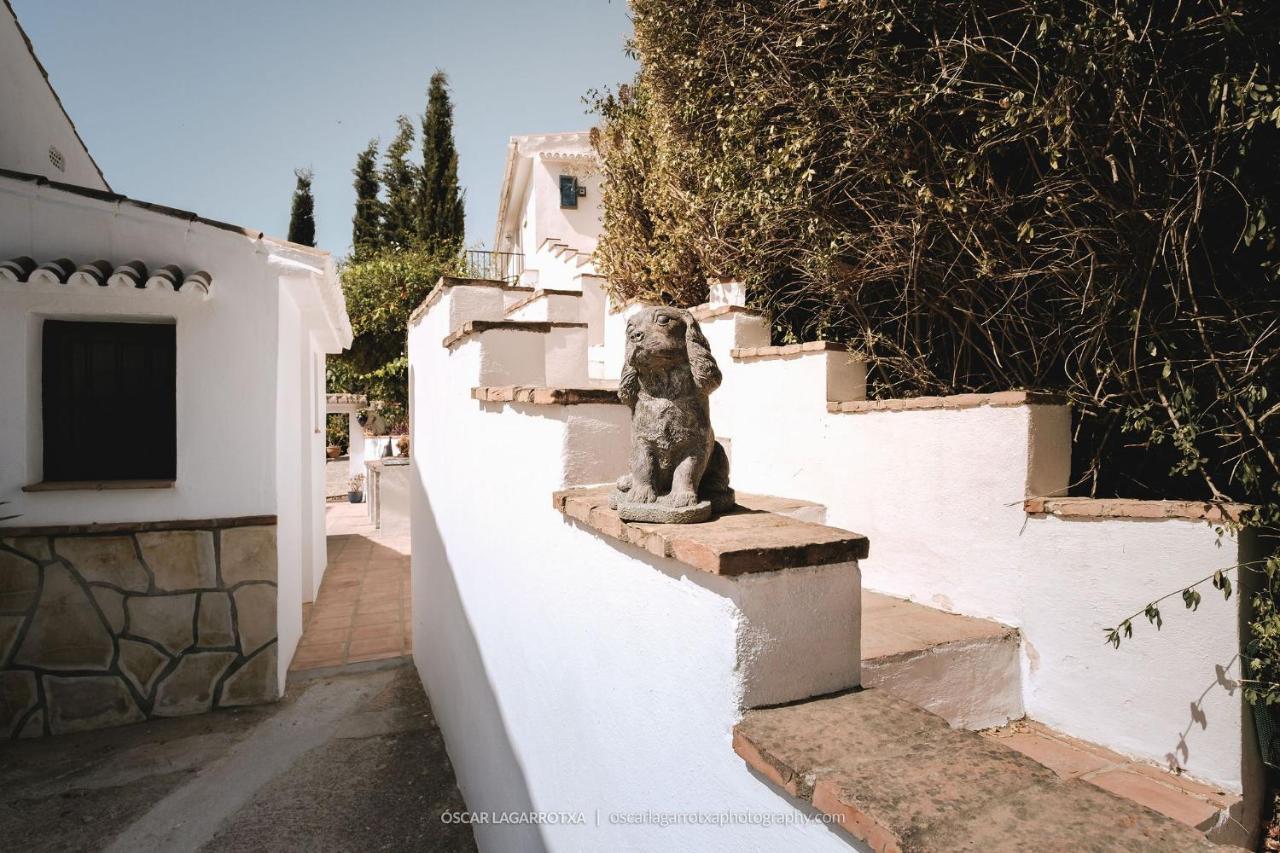 B&B Cortijo Loma Leon Cutar 外观 照片